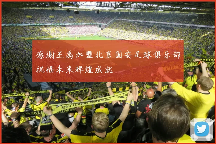 感谢王禹加盟北京国安足球俱乐部祝福未来辉煌成就