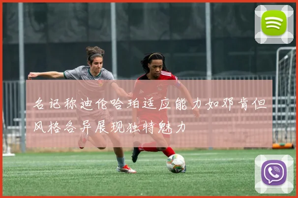 名记称迪伦哈珀适应能力如邓肯但风格各异展现独特魅力