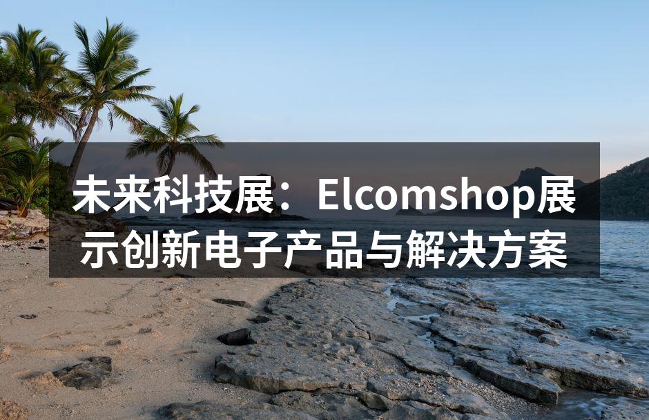 Elcomshop展位吸引了大量参观者